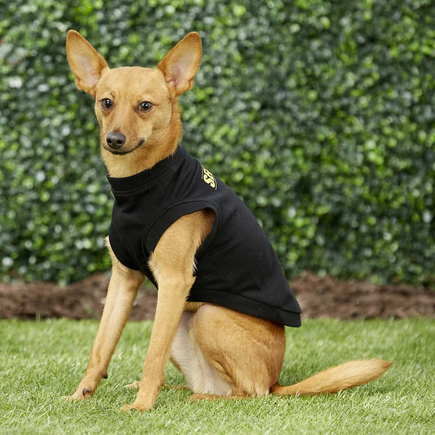 Frisco Security Dog & Cat T-Shirt 8 Frisco Security Dog & Cat T-Shirt - Image 6