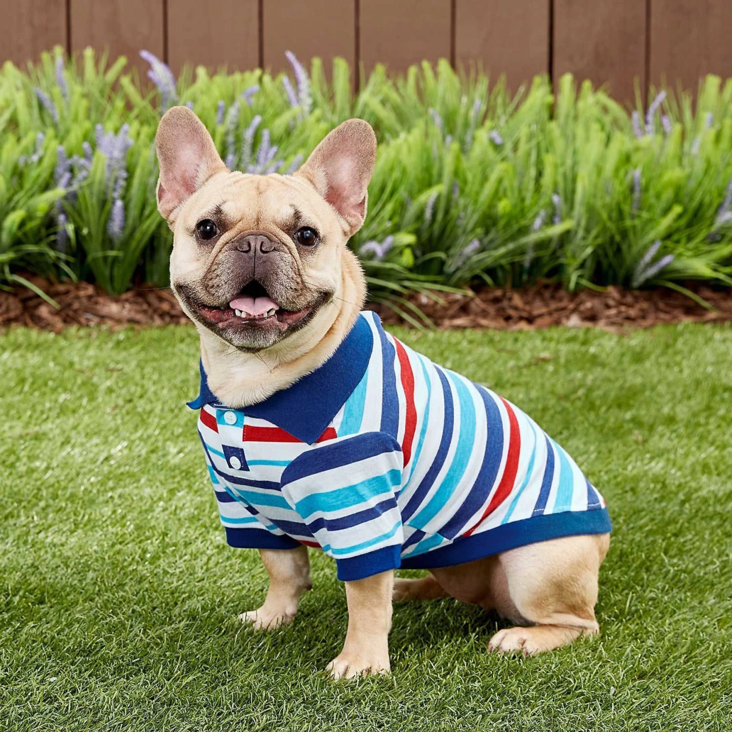 Frisco Striped Dog & Cat Polo Shirt, Red & Blue 3 Frisco Striped Dog & Cat Polo Shirt, Red & Blue