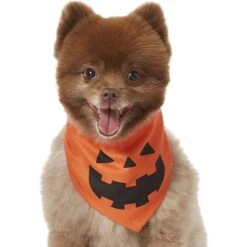 Frisco Jack O' Lantern Pumpkin Dog & Cat Bandana 11 Frisco Jack O' Lantern Pumpkin Dog & Cat Bandana -Frisco 158934 PT2. AC SS1800 V1690828662