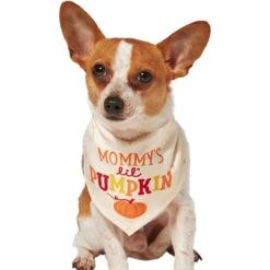 Frisco Mommy's Lil Pumpkin Dog & Cat Bandana -Frisco 158936 PT2. AC SS1800 V1689629423