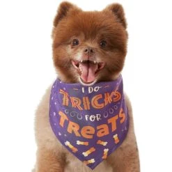 Frisco I Do Tricks For Treats Dog & Cat Bandana -Frisco 158938 PT3. AC SS1800 V1633075903