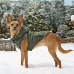 Frisco Mid-Heavyweight Portland Insulated Dog & Cat Parka 17 Frisco Mid-Heavyweight Portland Insulated Dog & Cat Parka -Frisco 160295 PT7. AC SS1800 V1567618265