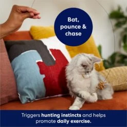 Frisco Cardboard & Wire Teaser Cat Toy 8 Frisco Cardboard & Wire Teaser Cat Toy -Frisco 161194 PT3. AC SS1800 V1686579092