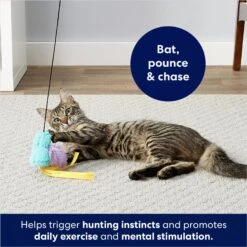 Frisco Bird With Feathers Teaser Wand Cat Toy With Catnip -Frisco 161199 PT2. AC SS1800 V1678723897