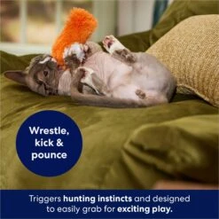 Frisco Plush Kicker Cat Toy 10 Frisco Plush Kicker Cat Toy -Frisco 161264 PT5. AC SS1800 V1686579626