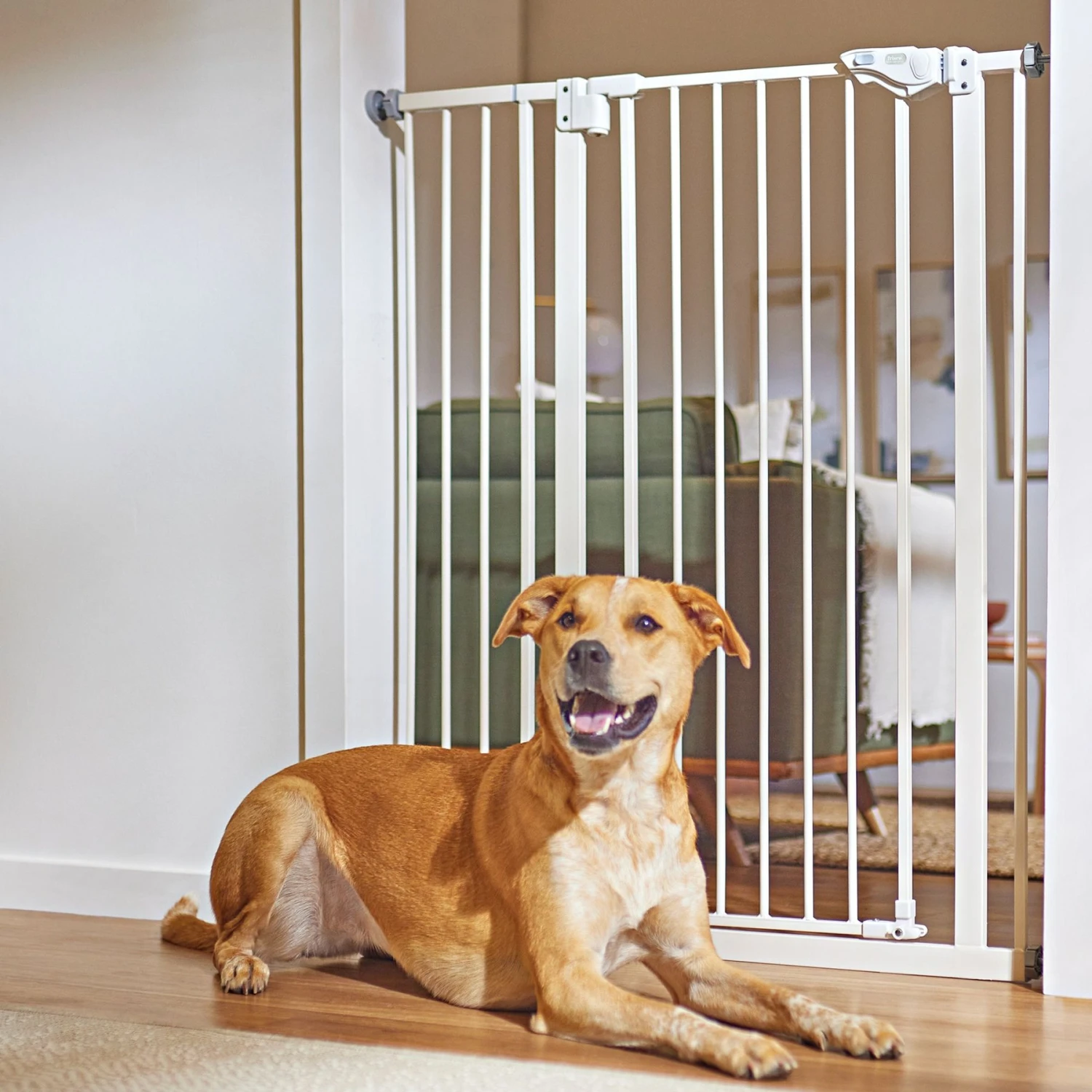 Frisco Steel Extra Tall Auto-Close Dog Gate 3 Frisco Steel Extra Tall Auto-Close Dog Gate