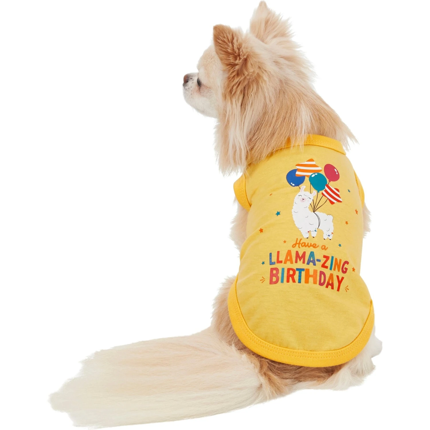 Frisco Llama-zing Birthday Dog & Cat T-Shirt 3 Frisco Llama-zing Birthday Dog & Cat T-Shirt