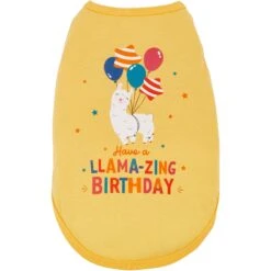 Frisco Llama-zing Birthday Dog & Cat T-Shirt 9 Frisco Llama-zing Birthday Dog & Cat T-Shirt -Frisco 191240 PT2. AC SS1800 V1582053523