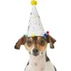 Frisco Confetti Dog & Cat Birthday Hat -Frisco 191274 Main. AC SS1800 V1582053295