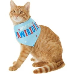 Frisco Pawtriot Dog & Cat Bandana 11 Frisco Pawtriot Dog & Cat Bandana -Frisco 191277 PT2. AC SS1800 V1584623825