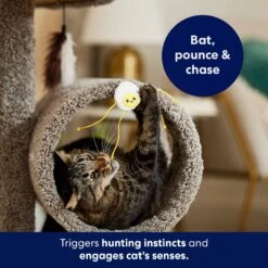 Frisco Plush Dangly Egg Buddy Cat Toy With Catnip -Frisco 213844 PT5. AC SS1800 V1691784029