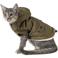 Frisco Mid-Heavyweight Love Insulated Dog & Cat Coat -Frisco 224034 PT2. AC SS1800 V1599498998