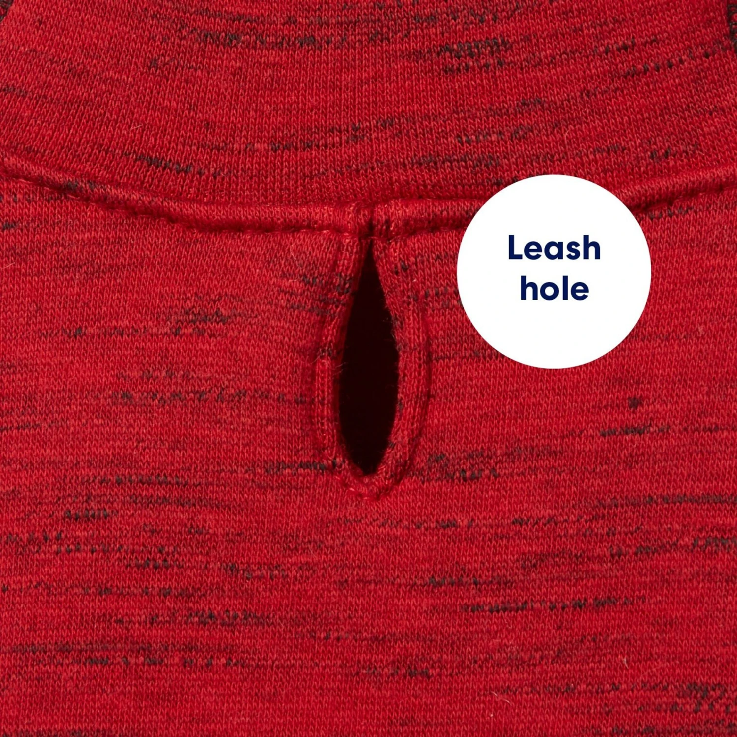 Frisco Sporty Dog & Cat Hoodie 8 Frisco Sporty Dog & Cat Hoodie - Image 6