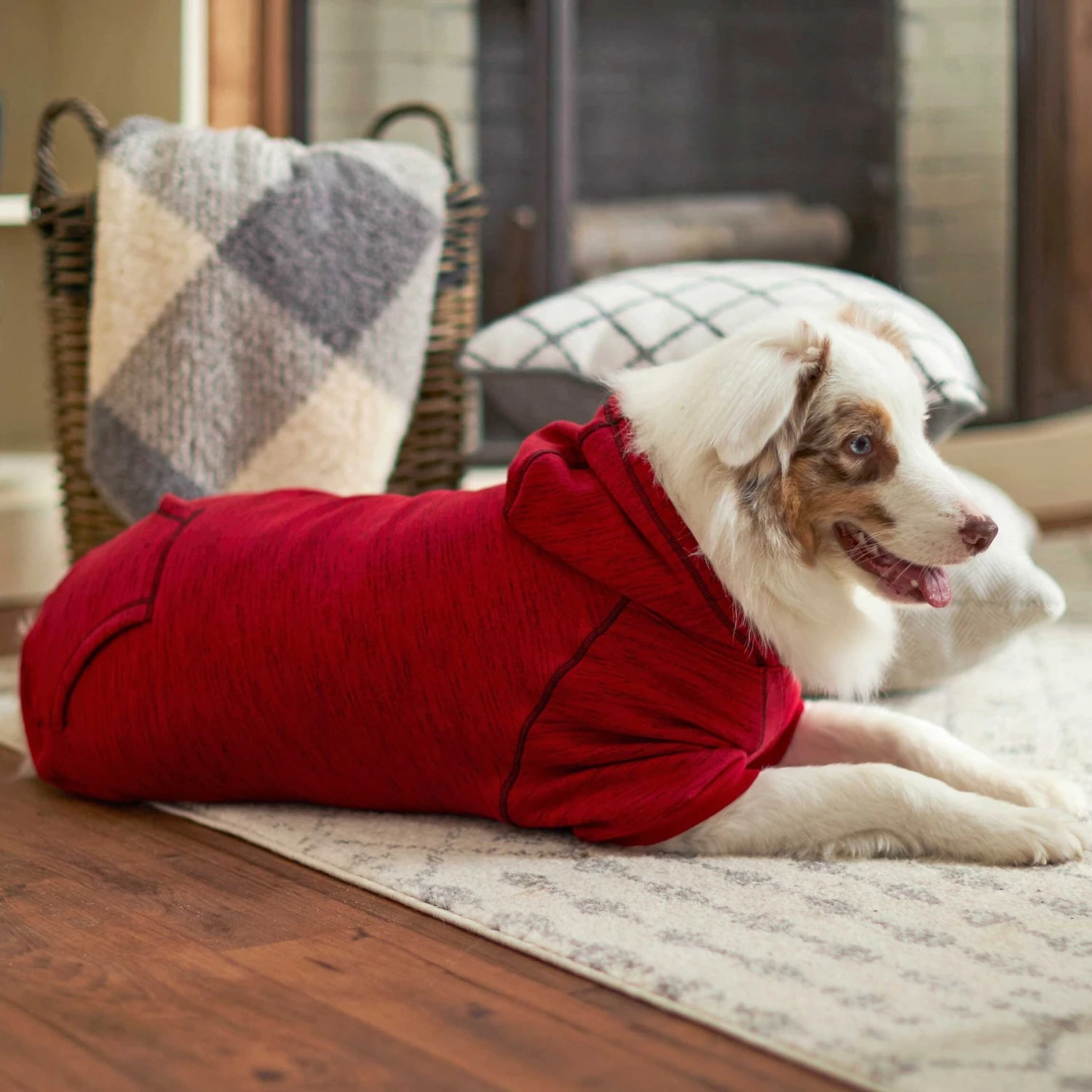 Frisco Sporty Dog & Cat Hoodie 10 Frisco Sporty Dog & Cat Hoodie - Image 8