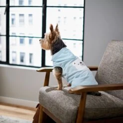 Frisco Mommy's Little Bear Dog & Cat Hoodie 17 Frisco Mommy's Little Bear Dog & Cat Hoodie -Frisco 224272 PT7. AC SS1800 V1599924073