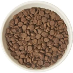 Frisco Double-Sided Ceramic Elevated Cat Bowl 11 Frisco Double-Sided Ceramic Elevated Cat Bowl -Frisco 232081 PT3. AC SS1800 V1605145964