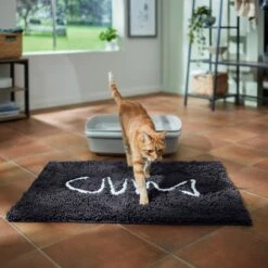 Frisco Microfiber Chenille Fish Bone Litter Mat 11 Frisco Microfiber Chenille Fish Bone Litter Mat -Frisco 236242 PT3. AC SS1800 V1676556249