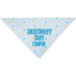 Frisco Birthday Boy Personalized Dog & Cat Bandana -Frisco 238329 PT3. AC SS1800 V1618511828