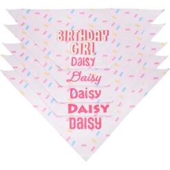Frisco Birthday Girl Personalized Dog & Cat Bandana 14 Frisco Birthday Girl Personalized Dog & Cat Bandana -Frisco 238333 PT4. AC SS1800 V1618507367
