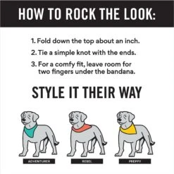 Frisco Peppermint Personalized Dog & Cat Bandana -Frisco 242807 PT2. AC SS1800 V1618510612