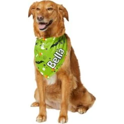 Frisco Halloween Boo! Personalized Dog & Cat Bandana -Frisco 244583 PT6. AC SS1800 V1618510307