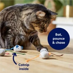 Frisco Mice Plush Cat Toy With Catnip 8 Frisco Mice Plush Cat Toy With Catnip -Frisco 245899 PT2. AC SS1800 V1678723852