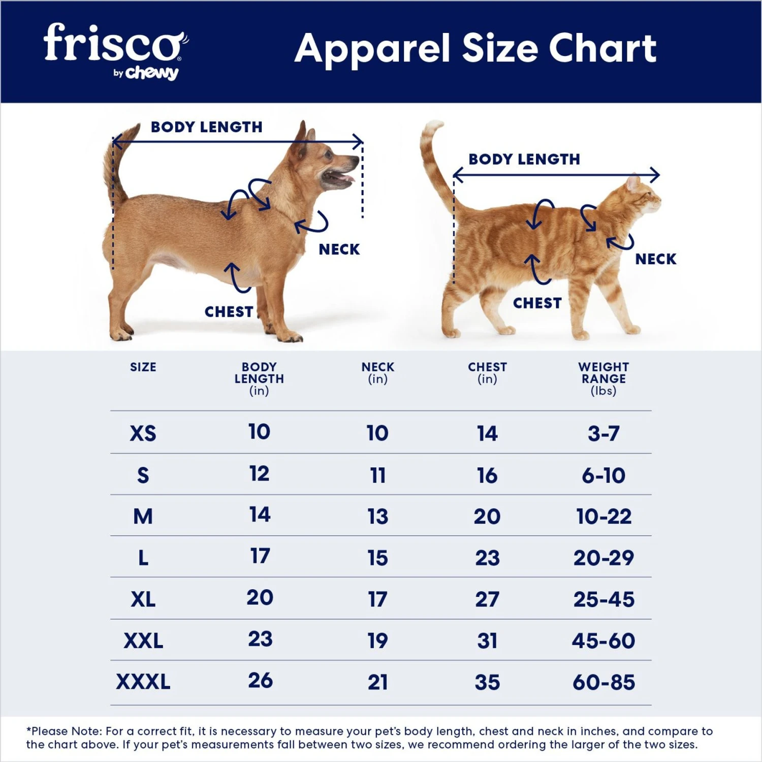 Frisco Boss Babe Dog & Cat Dress 4 Frisco Boss Babe Dog & Cat Dress - Image 2