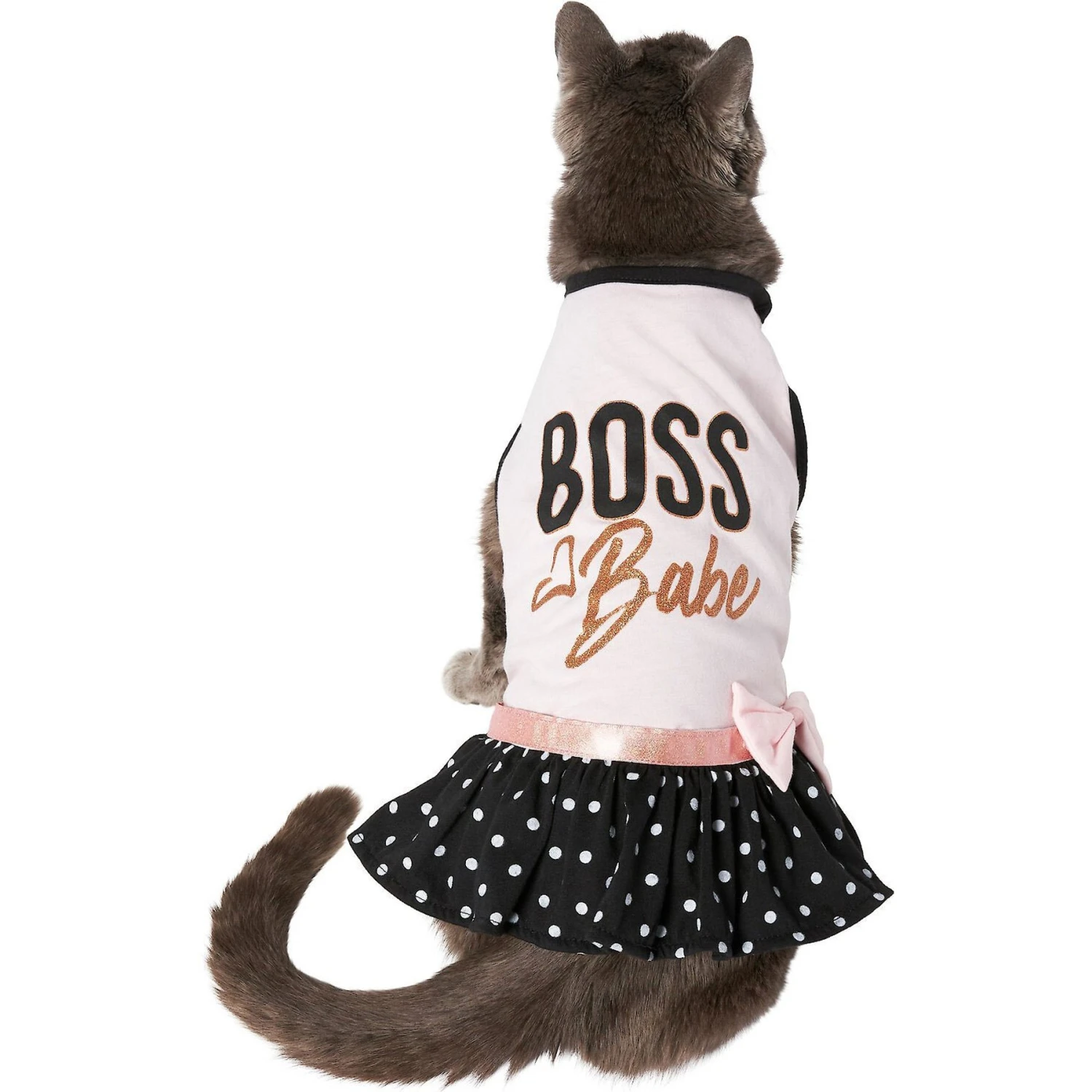 Frisco Boss Babe Dog & Cat Dress 6 Frisco Boss Babe Dog & Cat Dress - Image 4