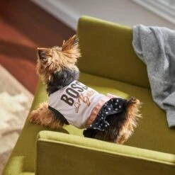 Frisco Boss Babe Dog & Cat Dress 13 Frisco Boss Babe Dog & Cat Dress -Frisco 248674 PT7. AC SS1800 V1613666625