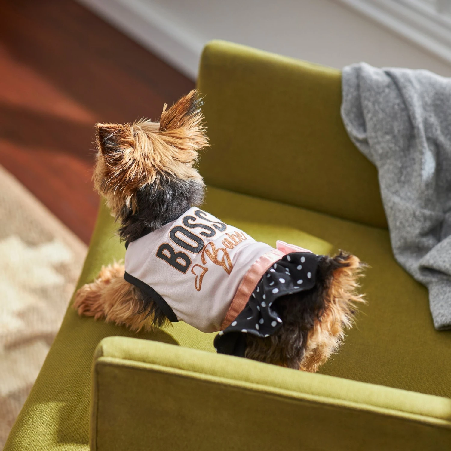 Frisco Boss Babe Dog & Cat Dress 8 Frisco Boss Babe Dog & Cat Dress - Image 6