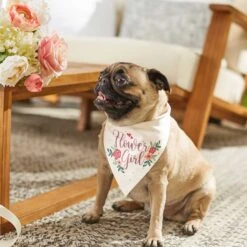 Frisco Wedding Reversible Dog & Cat Bandana -Frisco 248712 PT6. AC SS1800 V1632430655