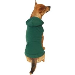 Frisco Dog & Cat Basic Hoodie 11 Frisco Dog & Cat Basic Hoodie -Frisco 249154 PT2. AC SS1800 V1633073480