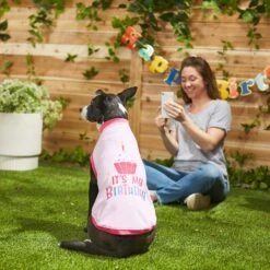 Frisco It's My Birthday Dog & Cat T-Shirt, Pink 11 Frisco It's My Birthday Dog & Cat T-Shirt, Pink -Frisco 249255 PT7. AC SS1800 V1614289423
