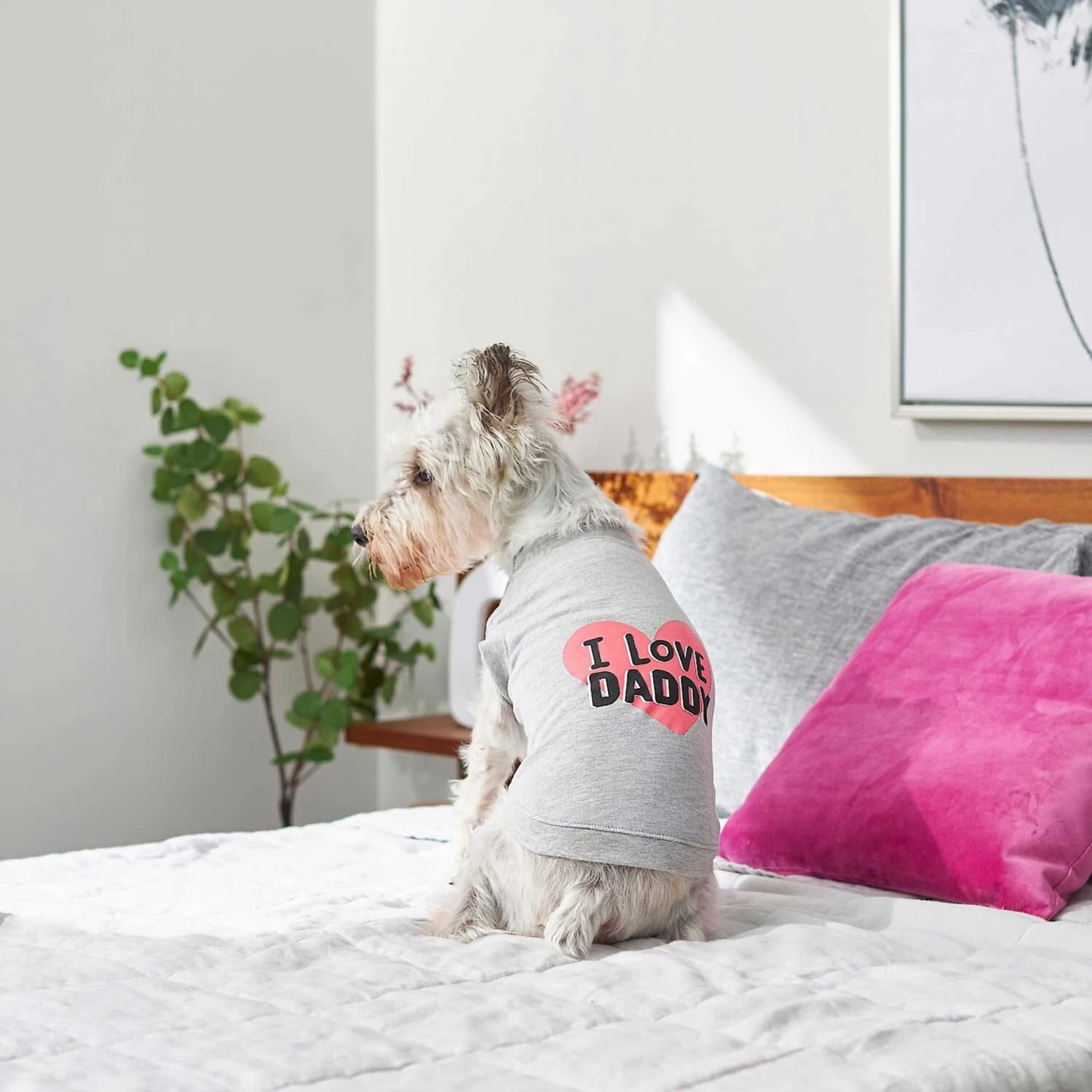 Frisco I Love Daddy Dog & Cat T-Shirt, Gray 8 Frisco I Love Daddy Dog & Cat T-Shirt, Gray - Image 6