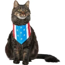 Frisco Stars & Stripes Dog & Cat Bandana -Frisco 249329 PT3. AC SS1800 V1632422490