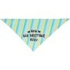 Frisco Big Brother Personalized Dog & Cat Bandana -Frisco 254231 MAIN. AC SS1800 V1633064216