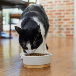 Frisco Oval Meow Non-skid Ceramic Cat Bowl With Wood Base -Frisco 256080 PT2. AC SS1800 V1615310782