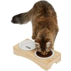 Frisco 23 Frisco Double Elevated Cat Bowl With Wood Stand
