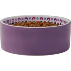 Frisco Kaleidoscope Pattern Non-skid Ceramic Dog & Cat Bowl -Frisco 256090 PT3. AC SS1800 V1615311698