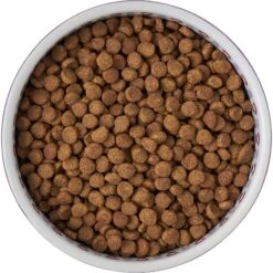 Frisco Kaleidoscope Pattern Non-skid Ceramic Dog & Cat Bowl -Frisco 256090 PT5. AC SS1800 V1615312887