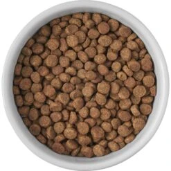 Frisco Cat Print Non-skid Elevated Ceramic Cat Bowl, Short -Frisco 256096 PT4. AC SS1800 V1616522576