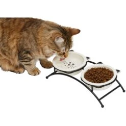 Frisco 31 Frisco Cat Face Non-skid Elevated Double Ceramic Cat Bowl