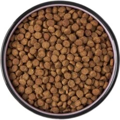 Frisco Paris Non-skid Ceramic Cat Dish 13 Frisco Paris Non-skid Ceramic Cat Dish -Frisco 256117 PT5. AC SS1800 V1615311392