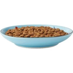 Frisco New York Non-skid Ceramic Cat Dish 14 Frisco New York Non-skid Ceramic Cat Dish -Frisco 256119 PT5. AC SS1800 V1618494742