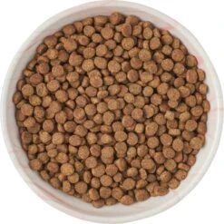 Frisco Marble Design Non-skid Ceramic Cat Bowl 12 Frisco Marble Design Non-skid Ceramic Cat Bowl -Frisco 256125 PT5. AC SS1800 V1615311382