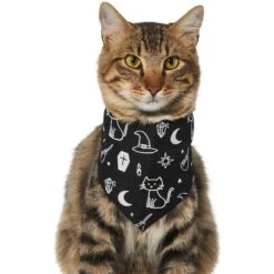 Frisco Glow In The Dark Mystical Print Dog & Cat Bandana 13 Frisco Glow In The Dark Mystical Print Dog & Cat Bandana -Frisco 261218 PT2. AC SS1800 V1633086982