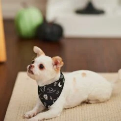 Frisco Glow In The Dark Mystical Print Dog & Cat Bandana 16 Frisco Glow In The Dark Mystical Print Dog & Cat Bandana -Frisco 261218 PT5. AC SS1800 V1633057869