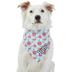 Frisco Watermelons Personalized Dog & Cat Bandana 17 Frisco Watermelons Personalized Dog & Cat Bandana -Frisco 267458 PT6. AC SS1800 V1632432415