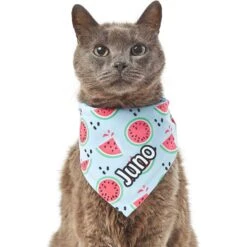 Frisco Watermelons Personalized Dog & Cat Bandana 18 Frisco Watermelons Personalized Dog & Cat Bandana -Frisco 267458 PT7. AC SS1800 V1632432684