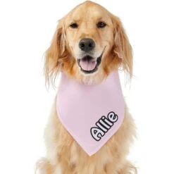 Frisco Solid Pastel Personalized Dog & Cat Bandana -Frisco 267514 PT6. AC SS1800 V1632417387